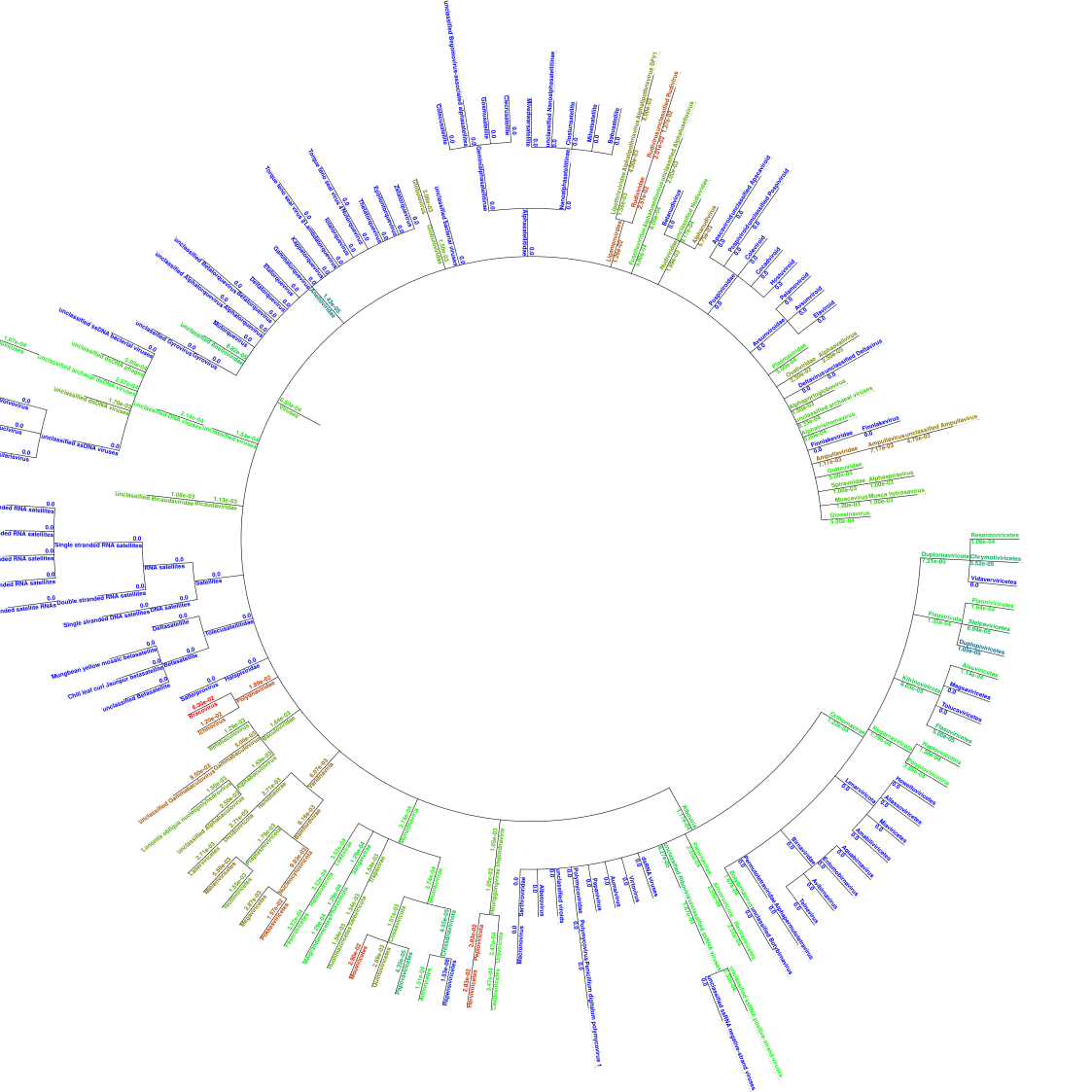 #PhylogeneticTree